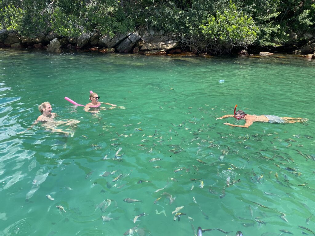 Snorkeling with tropical fish in the crystal-clear waters of Ilha Grande